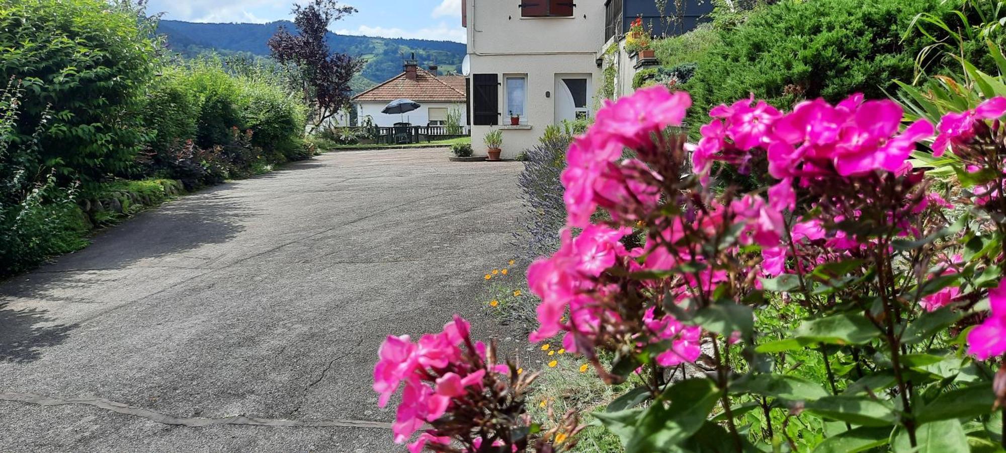 Plain-Pied Proche Base De Loisirs Et Voie Verte Saulxures-sur-Moselotte Экстерьер фото